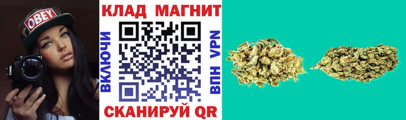 Где можно купить наркотики Североморск МЕТАДОН  Cocaine  Экстази  А ПВП  МЕФ  Конопля  ГАШ 